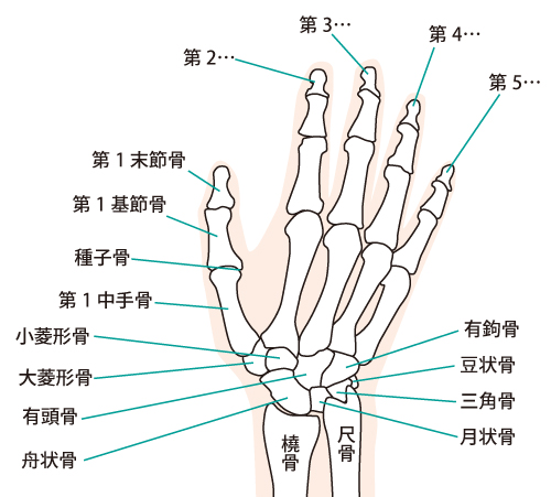 手首の痛みの改善法