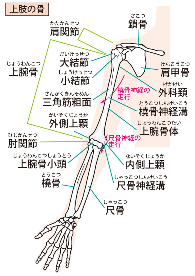 腱鞘炎へのアプローチは?